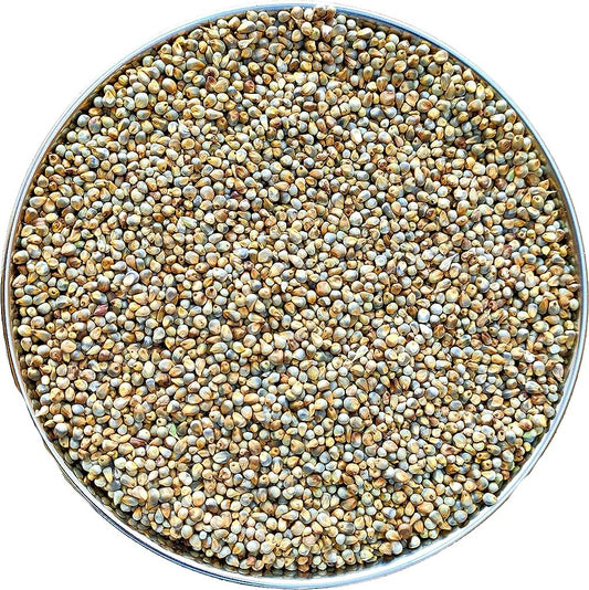 Pearl Millet Whole